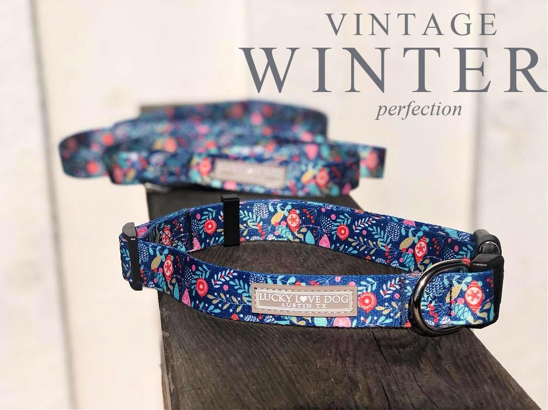 Lucky Love Dog sweet holiday leash: matching set supports secure, comfortable control during strolls.