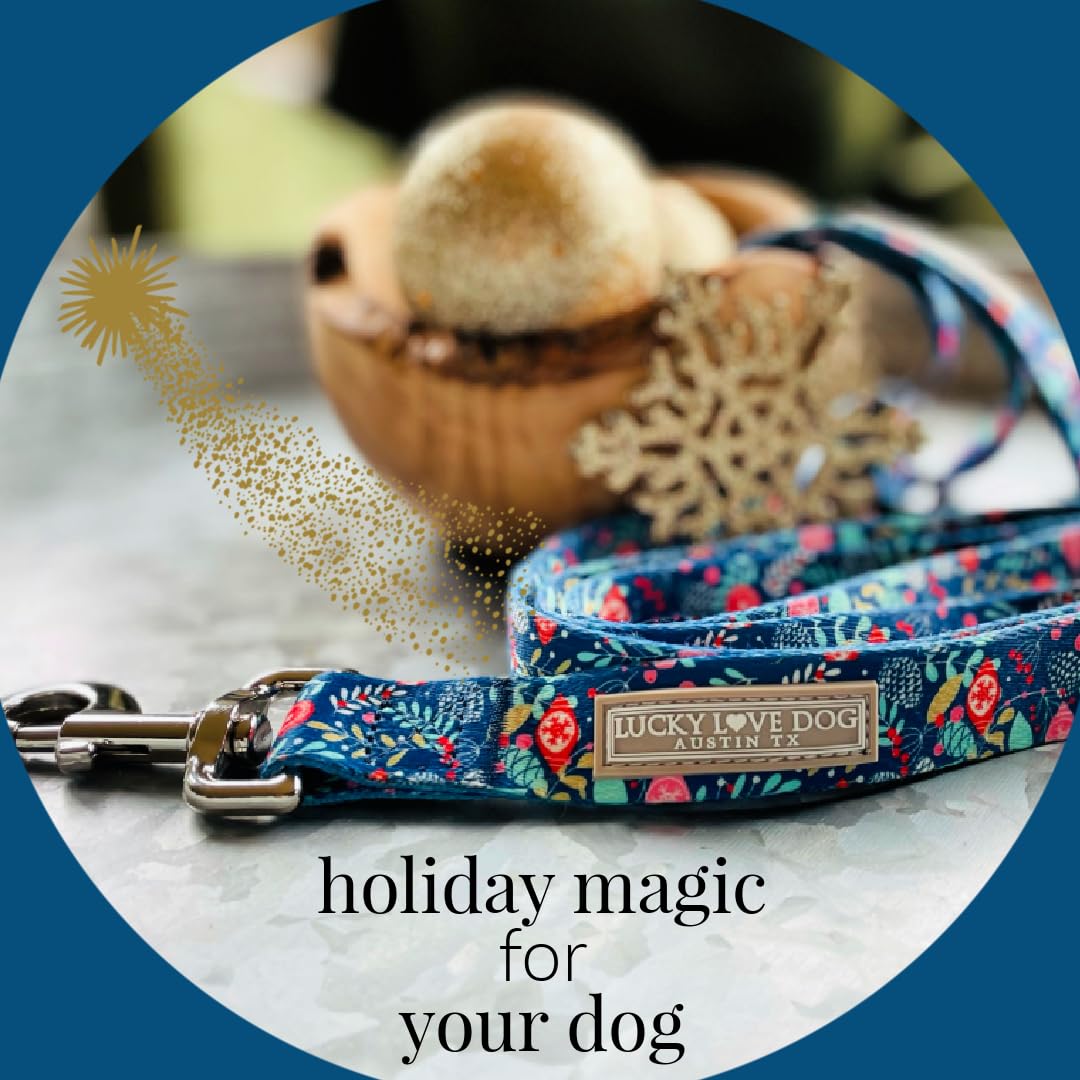Lucky Love Dog weatherproof D-ring: reliable leash attachment in all-weather walks.