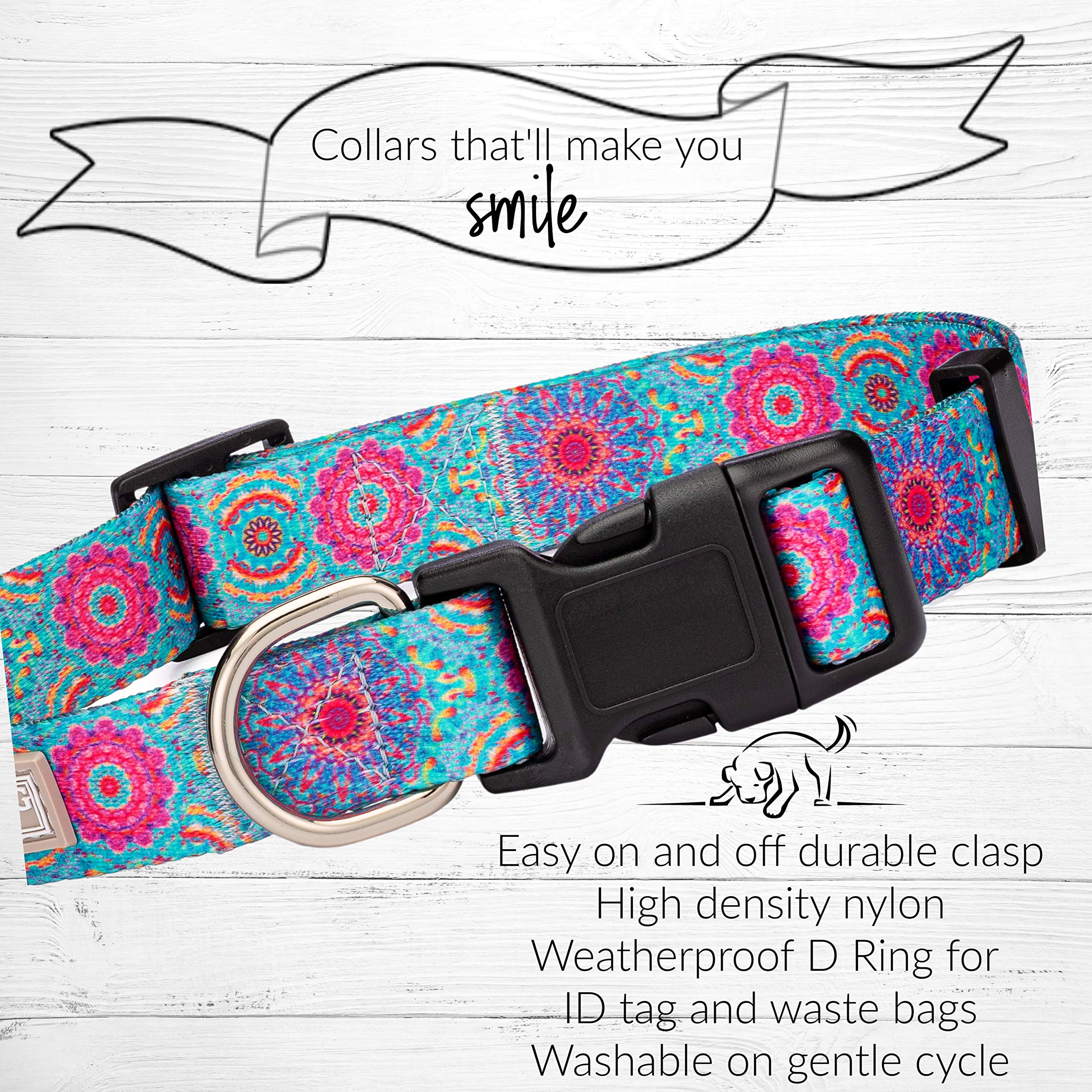 Lucky Love Dog weatherproof D-ring collar ready for outdoor hikes.