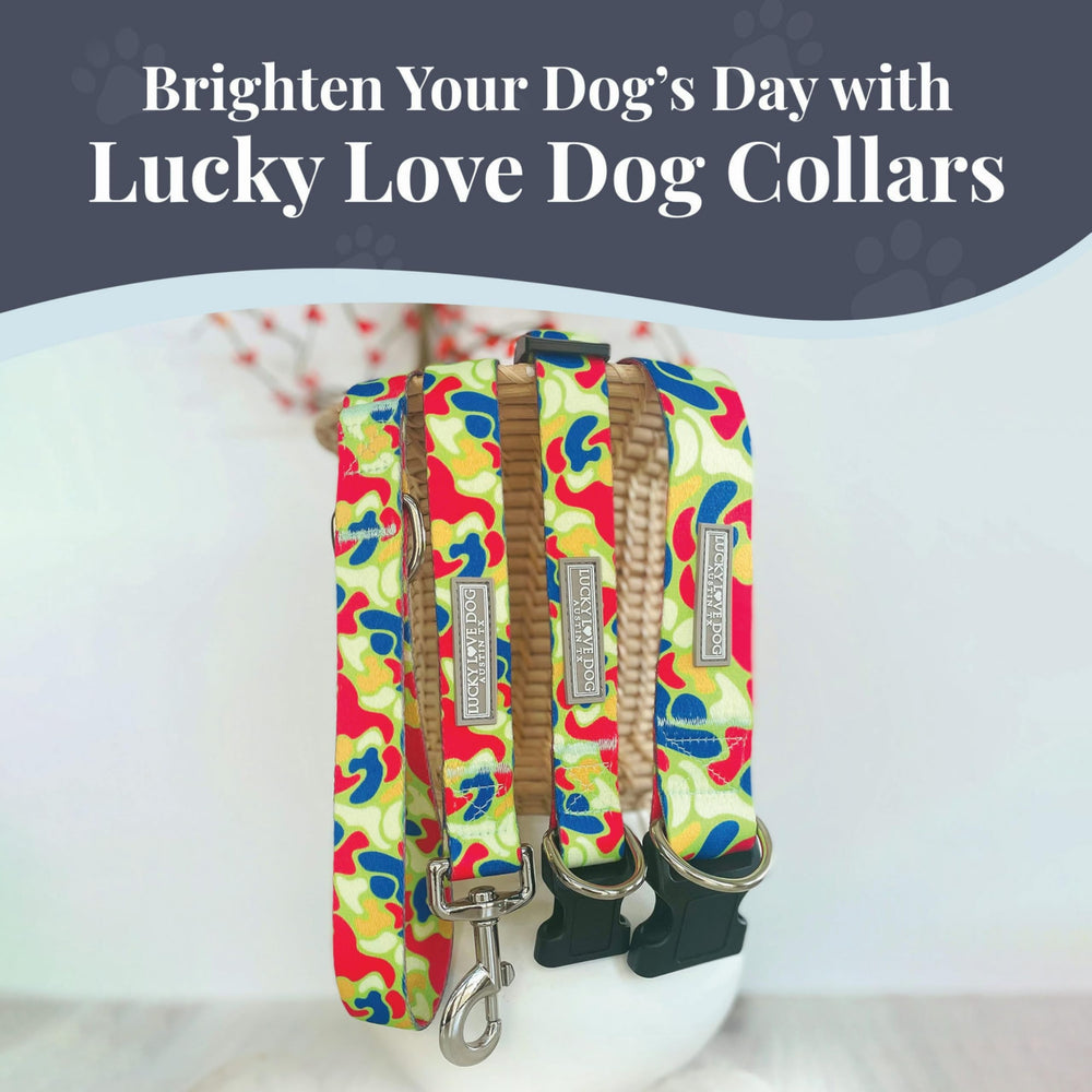 Lucky Love Dog Oscar matching leash option completes the look on hikes.