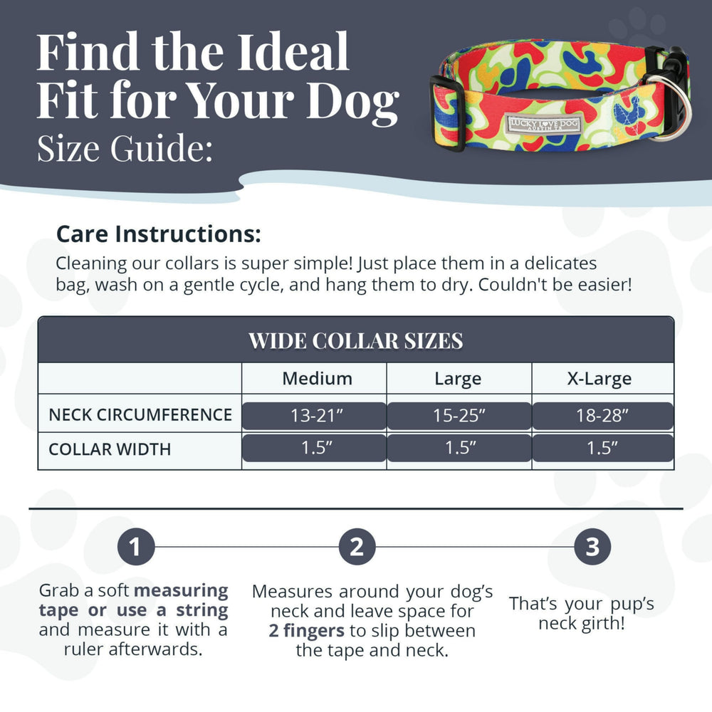 Lucky Love Dog Oscar bright blue collar enhances visibility on evening strolls.