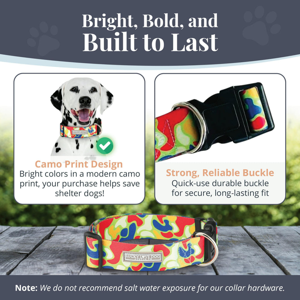 Lucky Love Dog Oscar green apple collar with vibrant design for standout style.
