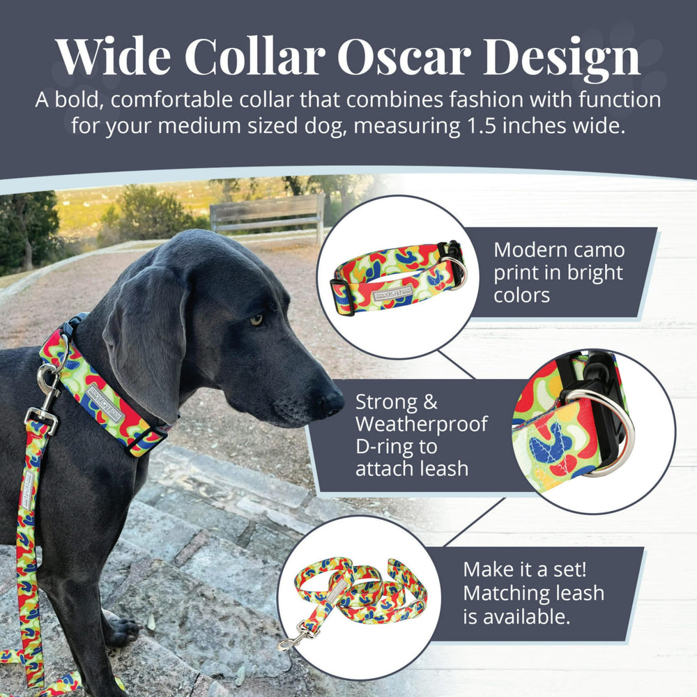 Lucky Love Dog Oscar yellow pattern collar for high-visibility daytime walks.