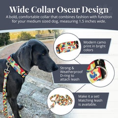 Lucky Love Dog Oscar yellow pattern collar for high-visibility daytime walks.