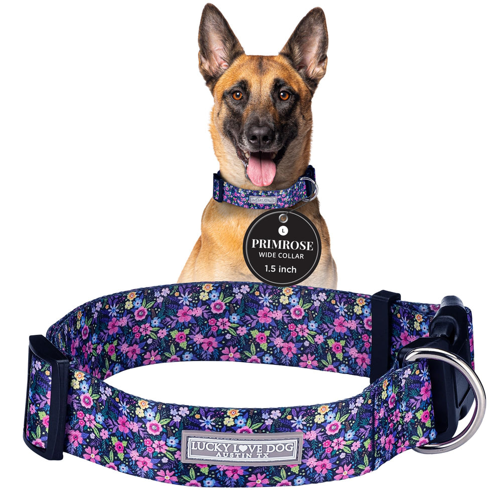 Lucky Love Dog wide collar Primrose adjustable-buckle for a secure, comfortable fit.