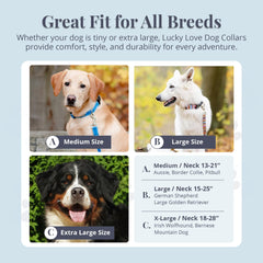 Lucky Love Dog wide collar Primrose large size demonstrates adjustable fit for bigger dogs.