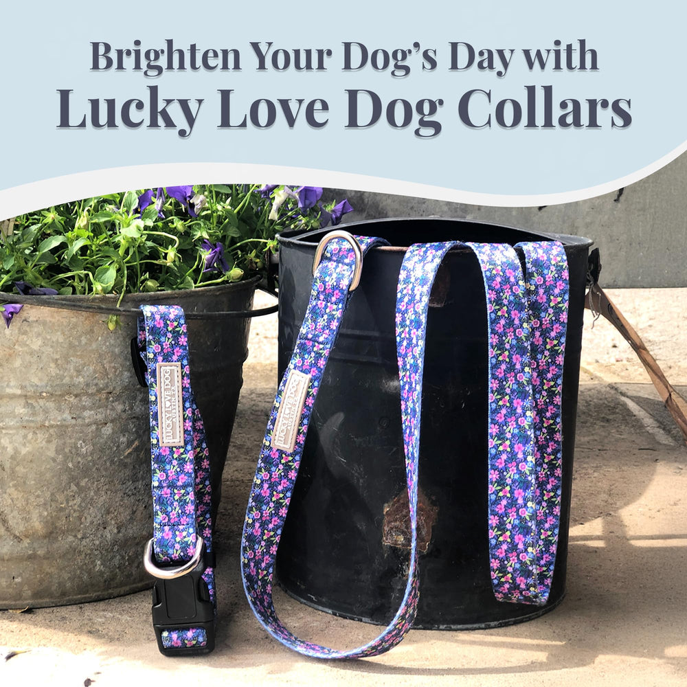 Lucky Love Dog wide collar Primrose packaging shown for gifting and rescue support.