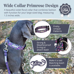 Lucky Love Dog wide collar Primrose soft-webbing close-up highlights comfort and durability.