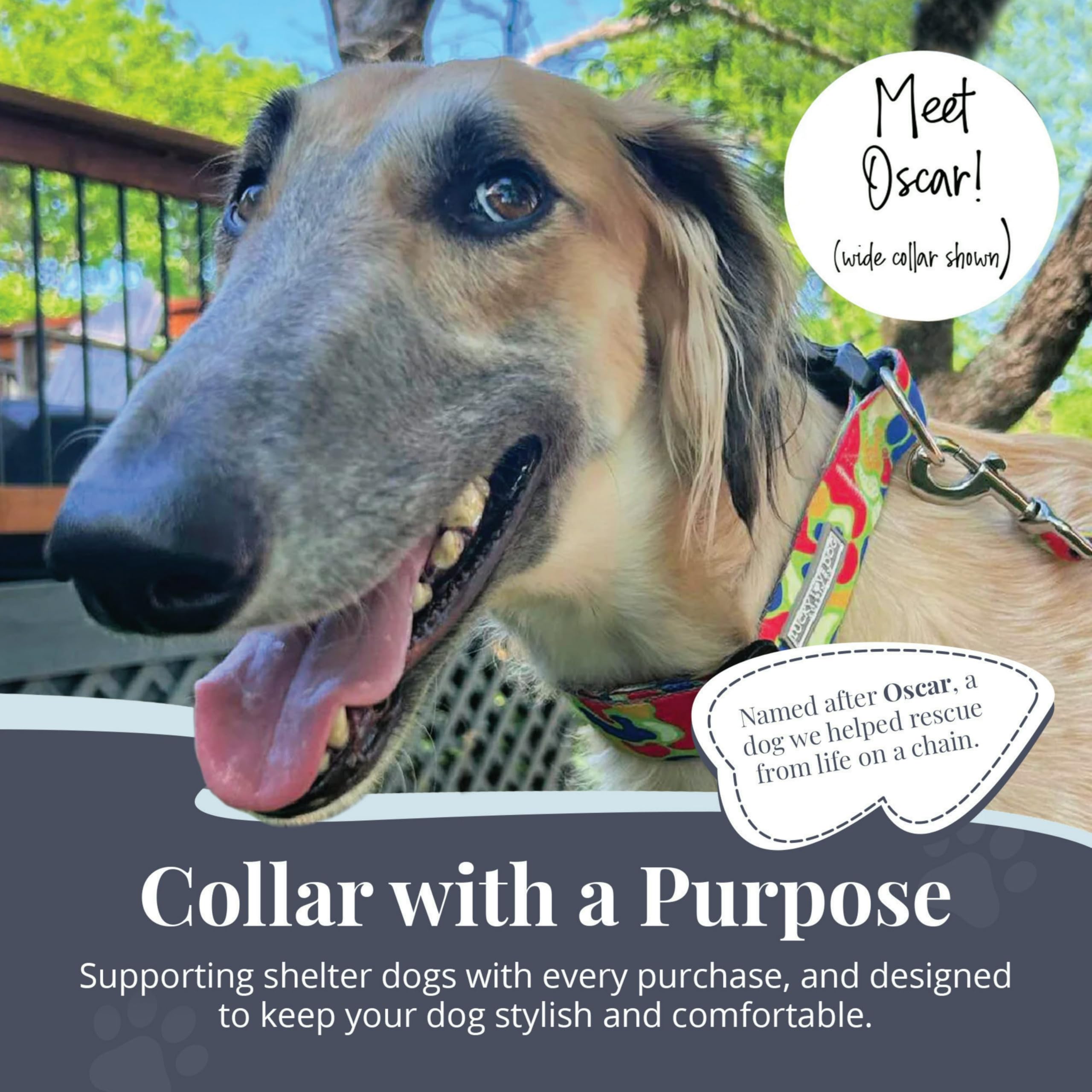 Lucky Love Dog wide-collar soft-webbing closeup shows comfortable neck support.