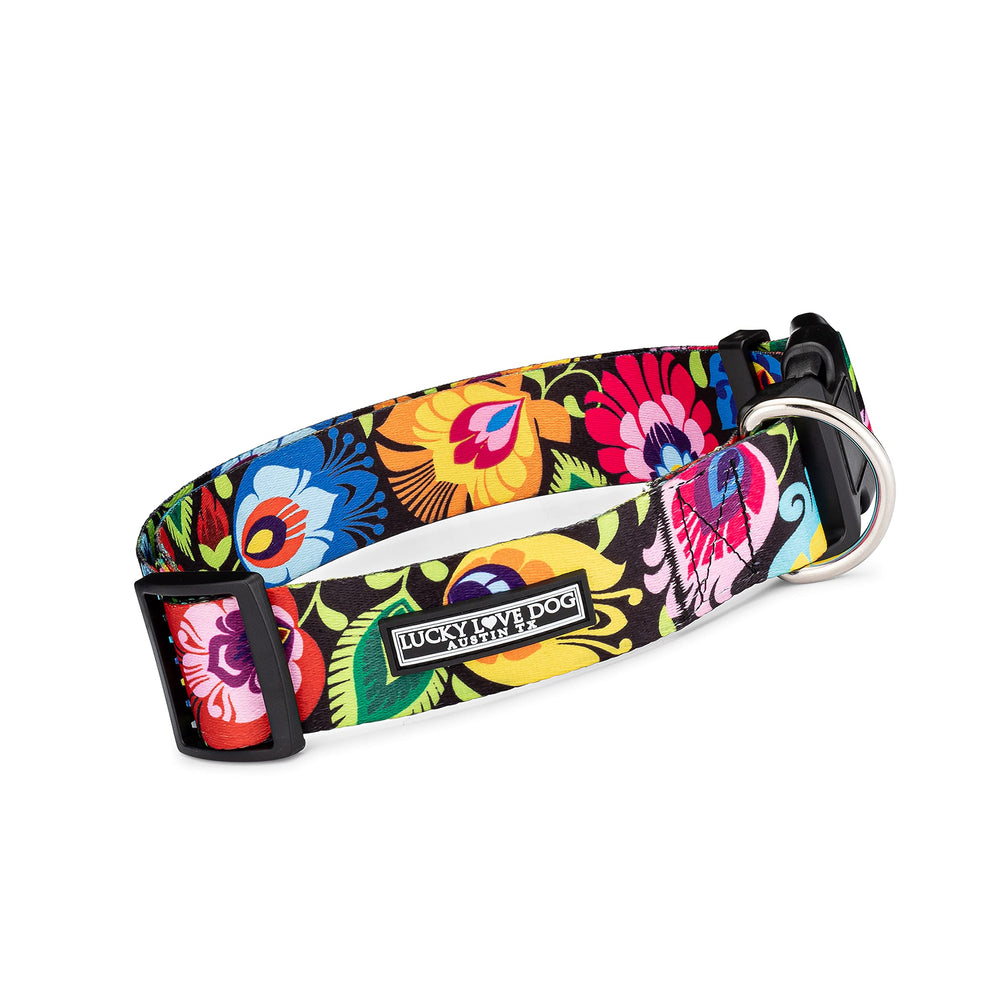 Lucky Love Dog wide collar buckle closeup shows durable hardware for daily walks.
