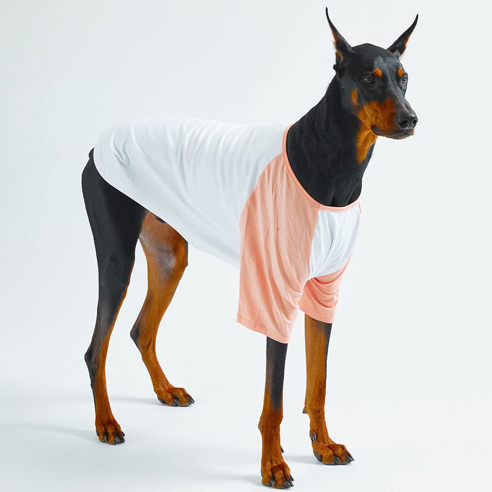 Lucky Petter dog shirt back view; elastic breathable fabric suits sensitive skin.