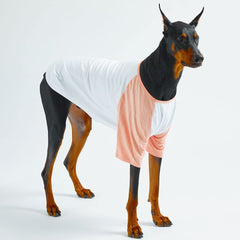 Lucky Petter dog shirt back view; elastic breathable fabric suits sensitive skin.