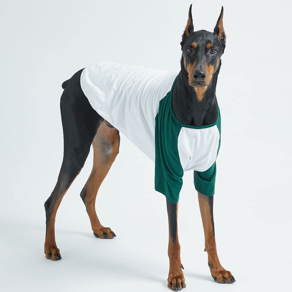 Lucky Petter dog shirt in action with easy on off feature for hassle free wear