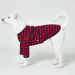 Lucky Petter dog shirt side view highlights easy slip-on elastic fit for daily walks.