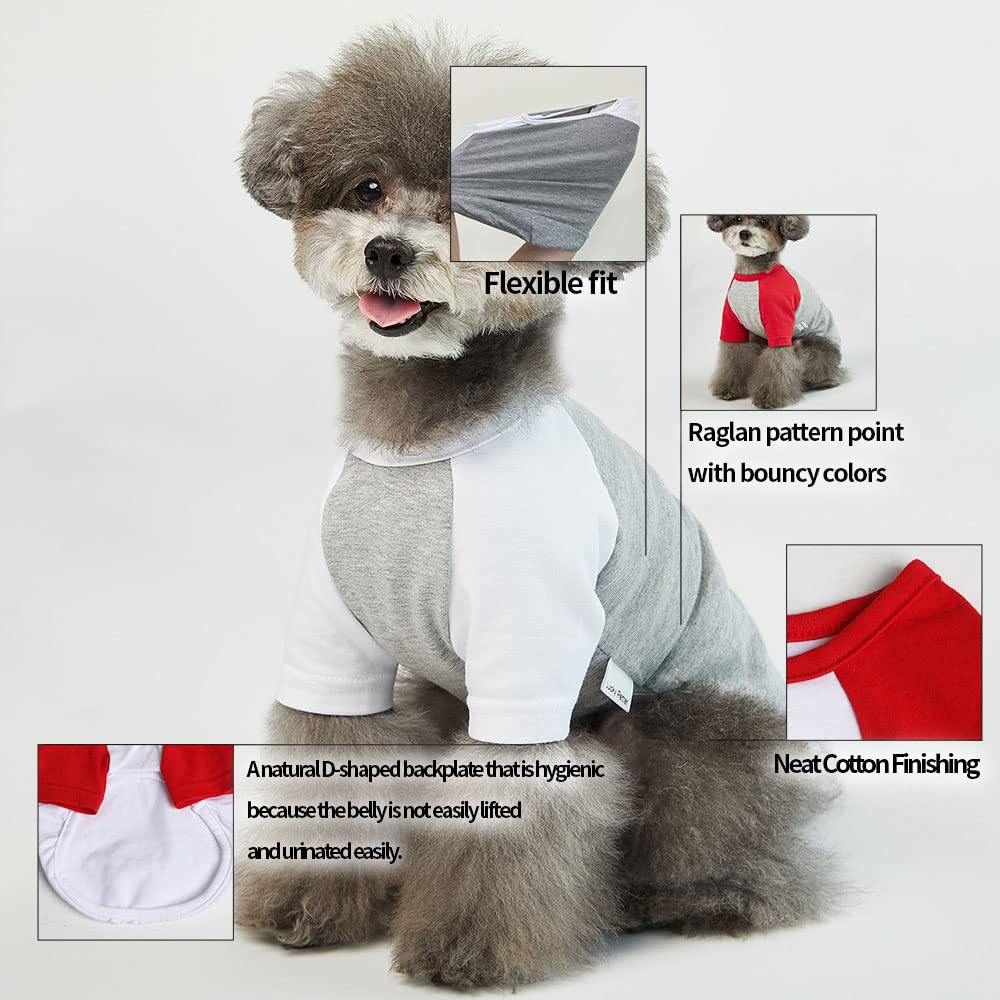 Lucky Petter dog shirt worn by a dog during a walk