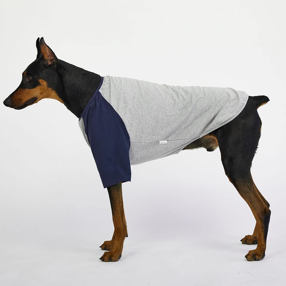 Lucky Petter dog shirt raglan sleeve design for easy movement