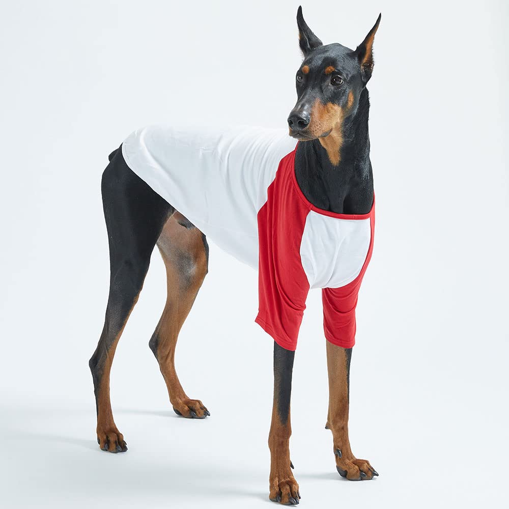 Lucky Petter Raglan shirt sleeve detail highlights flexible fit for small and large dogs.