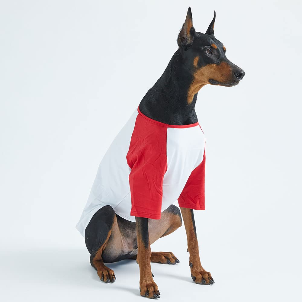 Lucky Petter soft cotton interior close-up shows cozy, breathable comfort during walks.