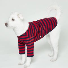 Lucky Petter dog shirt close-up reveals soft interior for year-round comfort.