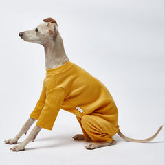 Lucky Petter small dog pajamas soft interior close-up emphasizing plush warmth and daily comfort