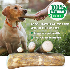 LUCKY TAIL coffee wood dog chew stick macro shot highlights real wood fibers