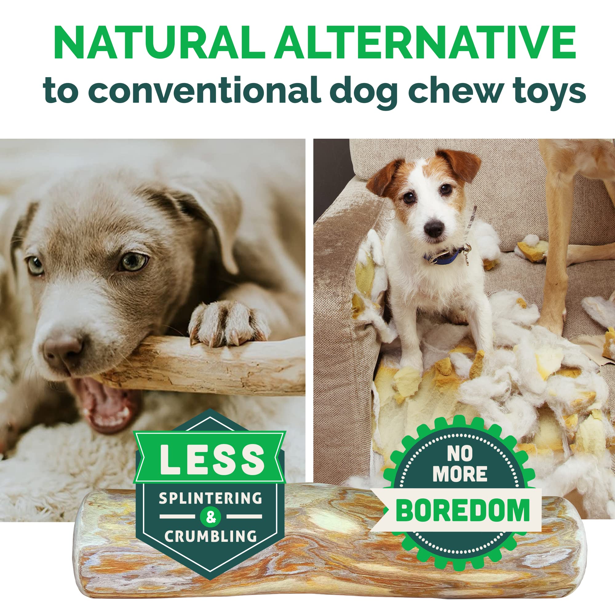 LUCKY TAIL dog chewing the wooden stick during playtime showing dog-friendly design