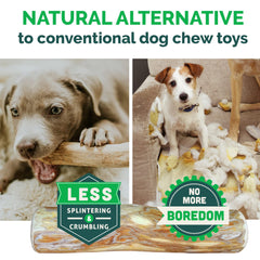 LUCKY TAIL dog chewing the wooden stick during playtime showing dog-friendly design