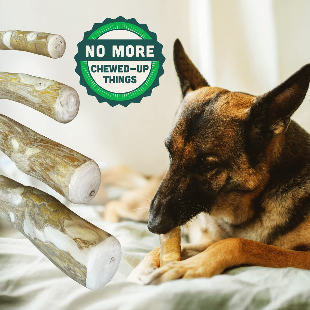 LUCKY TAIL medium-sized dog enjoy chew session with coffee wood stick