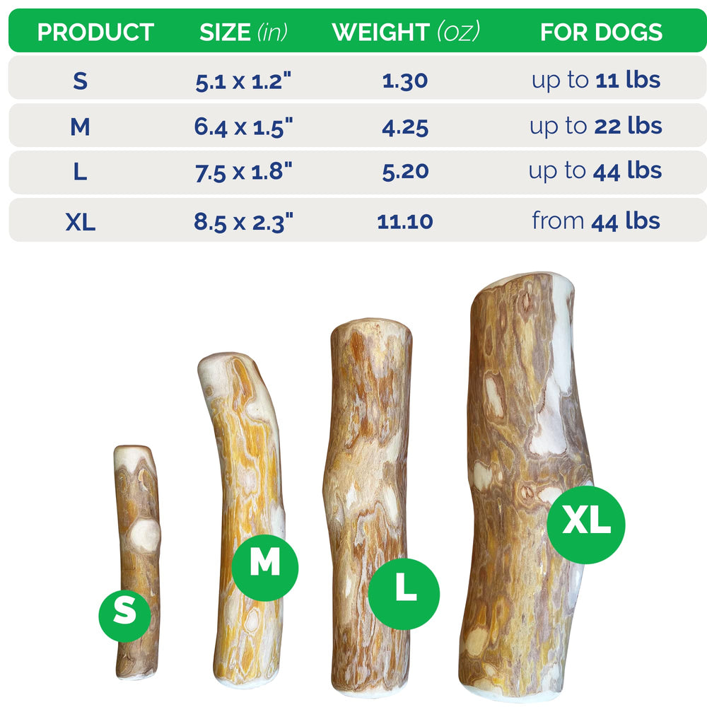 LUCKY TAIL two-pack coffee-tree chew sticks arranged for medium dogs