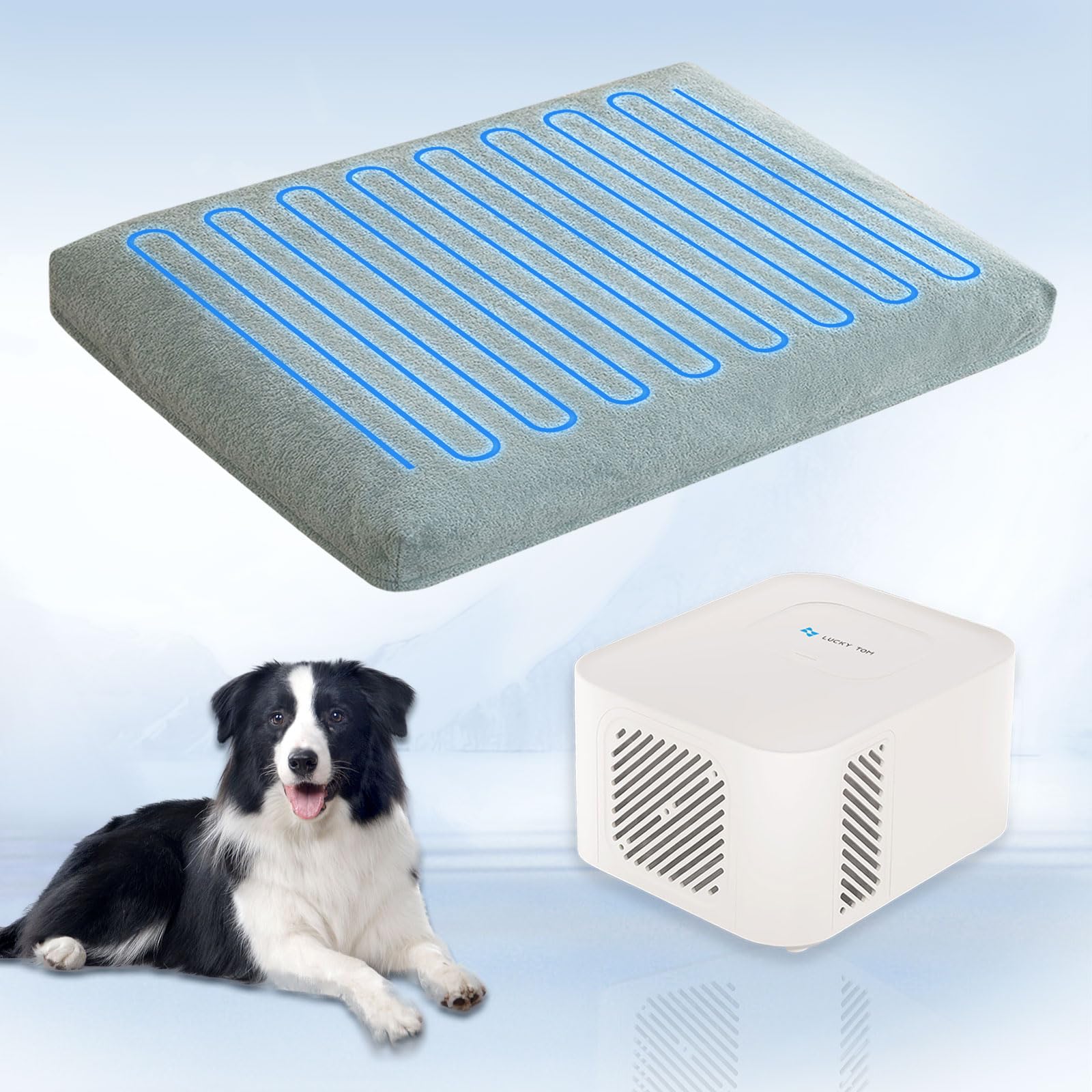Lucky Tom pet bed cooling system front view showcases cooling comfort for warm days