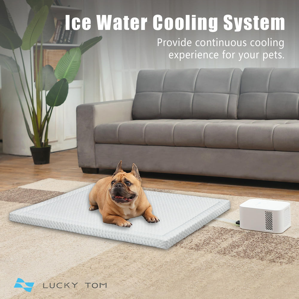 Lucky Tom pet pad cooling system dog relaxing image highlights steady comfort during hot days.