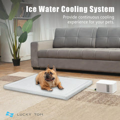 Lucky Tom pet pad cooling system dog relaxing image highlights steady comfort during hot days.