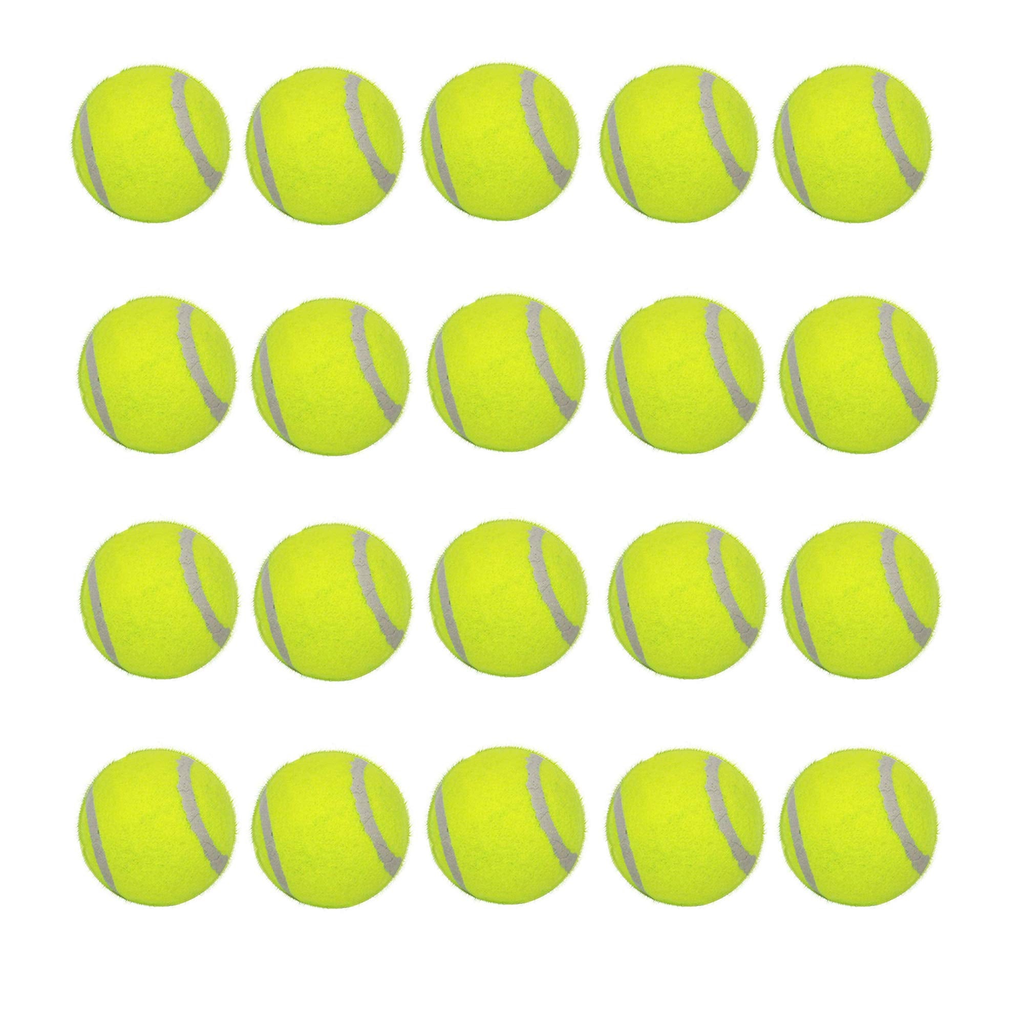 LUCKYERMORE 20-pack dog tennis balls ready for fetch with small dogs, featuring durable bounce.