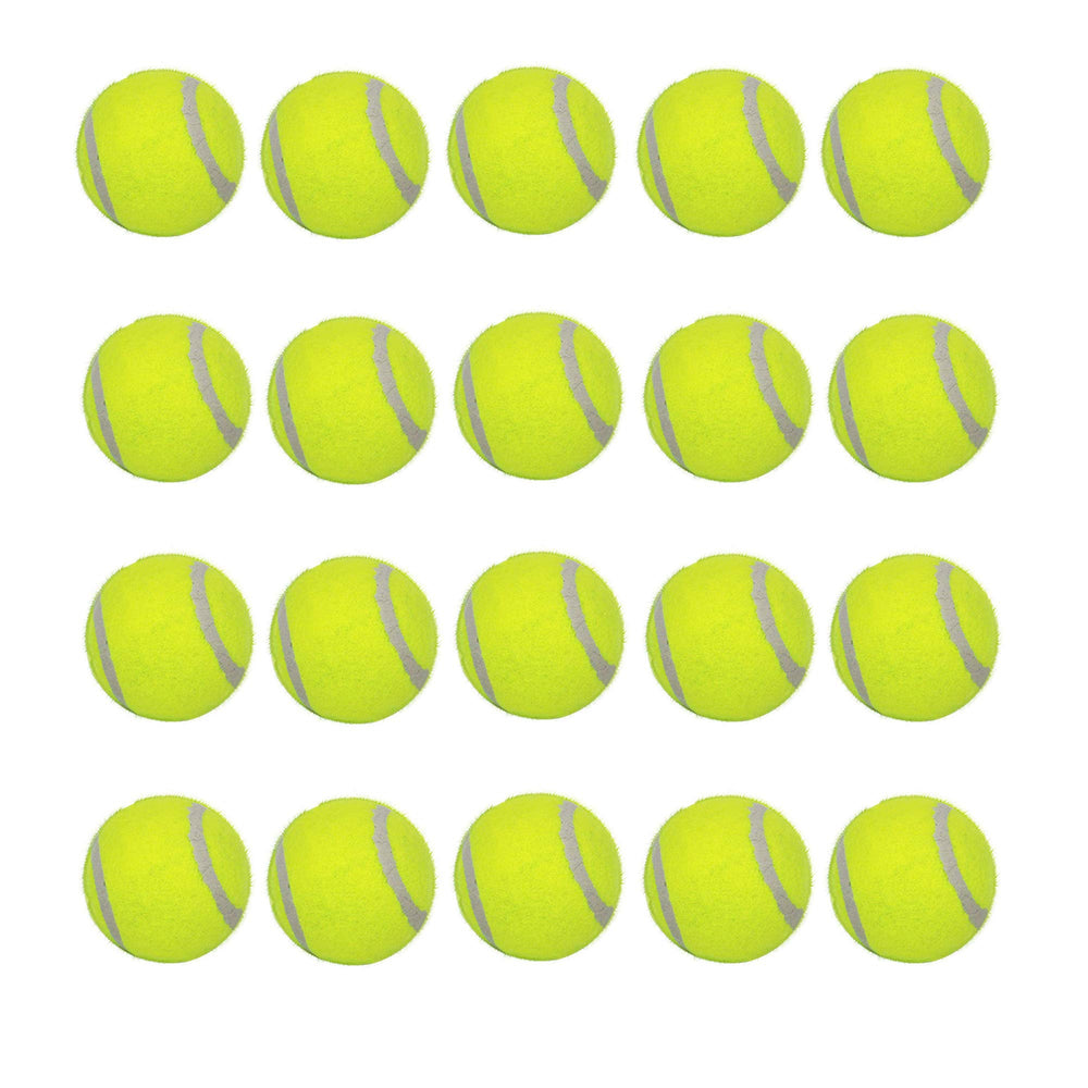 LUCKYERMORE 20-pack dog tennis balls ready for fetch with small dogs, featuring durable bounce.