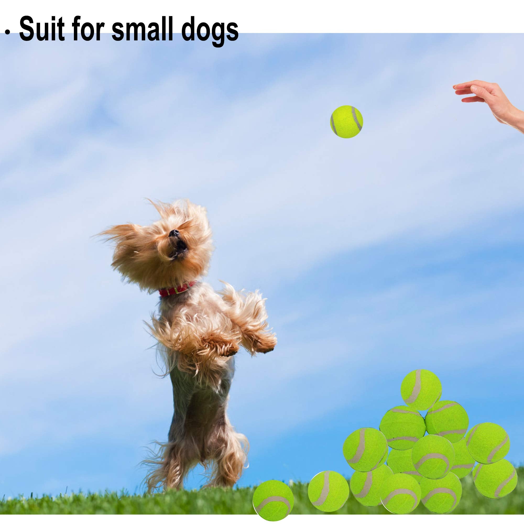 LUCKYERMORE nontoxic dog ball material ensures safe play and gentle teeth contact.