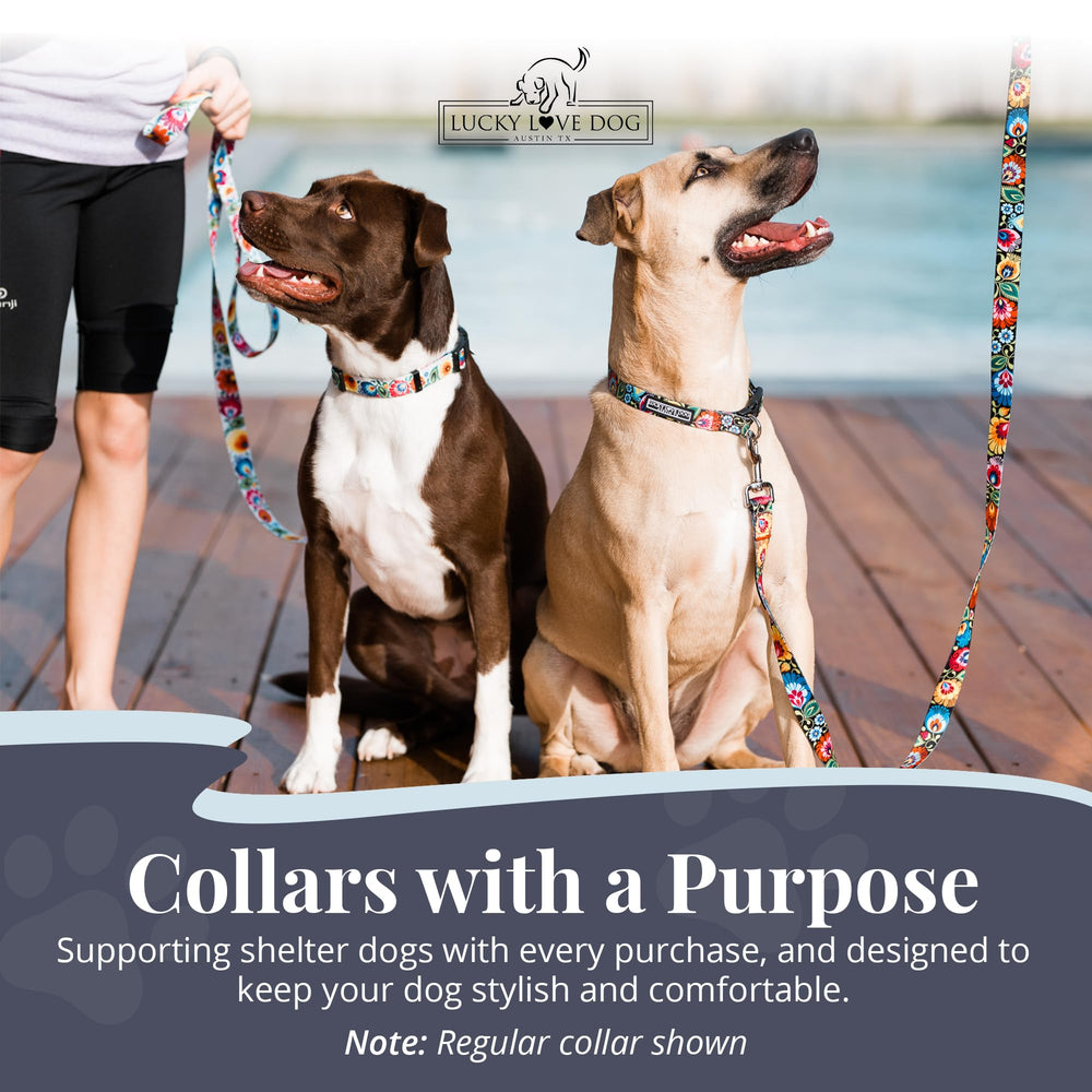 Lucky Love Dog brand story highlights Austin rescue roots and mission