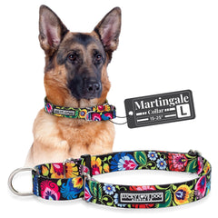 Lucky Love Dog martingale collar in blackbird adjusts securely for daily wear and training