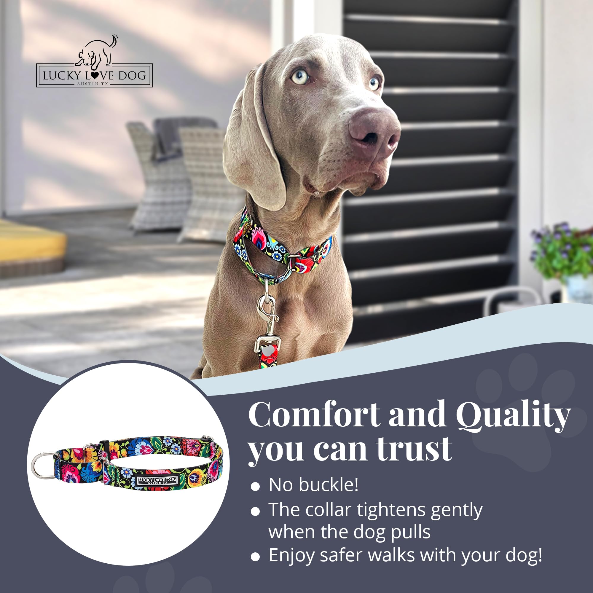 Lucky Love Dog large size collar fits big breeds for secure everyday use