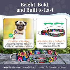 Lucky Love Dog soft webbing collar offers comfortable daily wear on long adventures