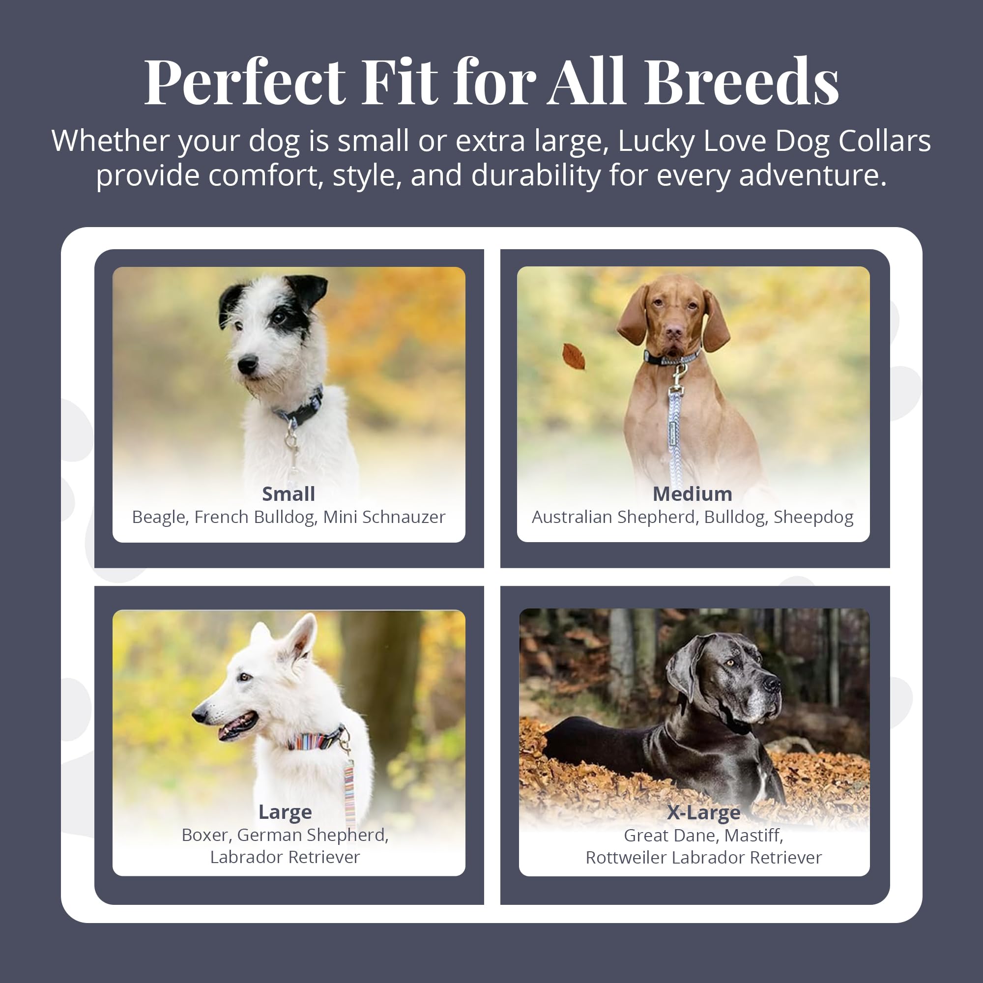 Lucky Love Dog martingale supports safe training with adjustable, comfortable fit