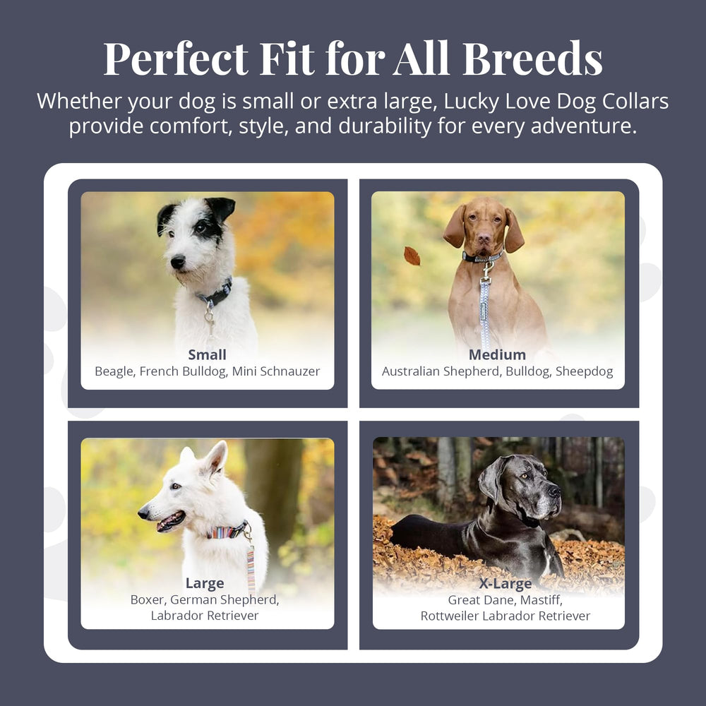 Lucky Love Dog martingale supports safe training with adjustable, comfortable fit
