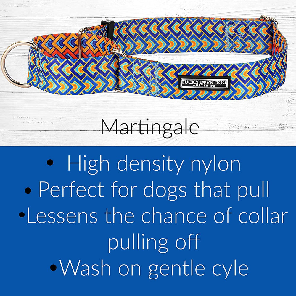 Lucky Love Dog collar purchase supports rescue efforts for shelter dogs