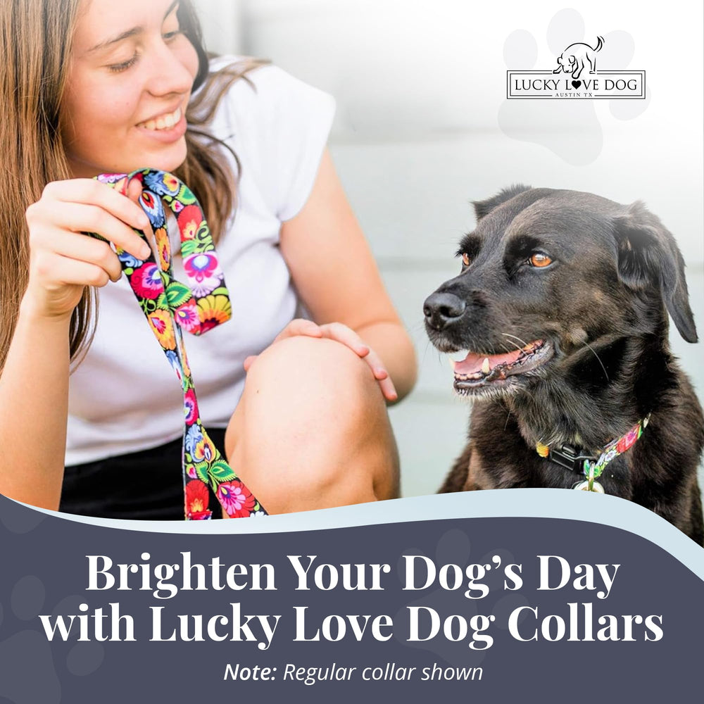 Lucky Love Dog rescue support image shows donations aiding shelter adoptions