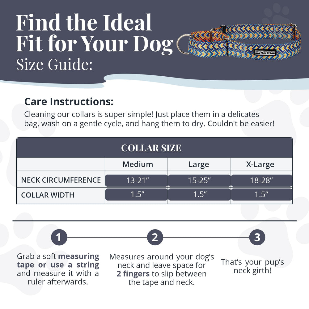Lucky Love Dog training and walking martingale collar designed for reliable control