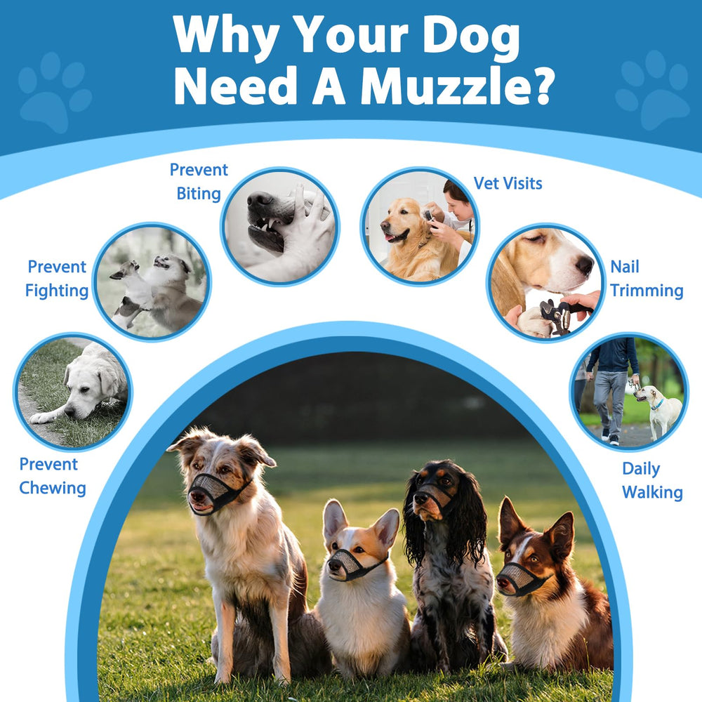 LUCKYPAW Lightweight Material minimizes fatigue during walks and grooming