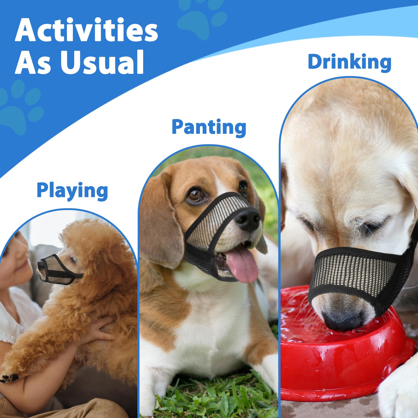 LUCKYPAW Muzzle Set Safety Bite Prevention helps reduce unwanted nibbling during encounters