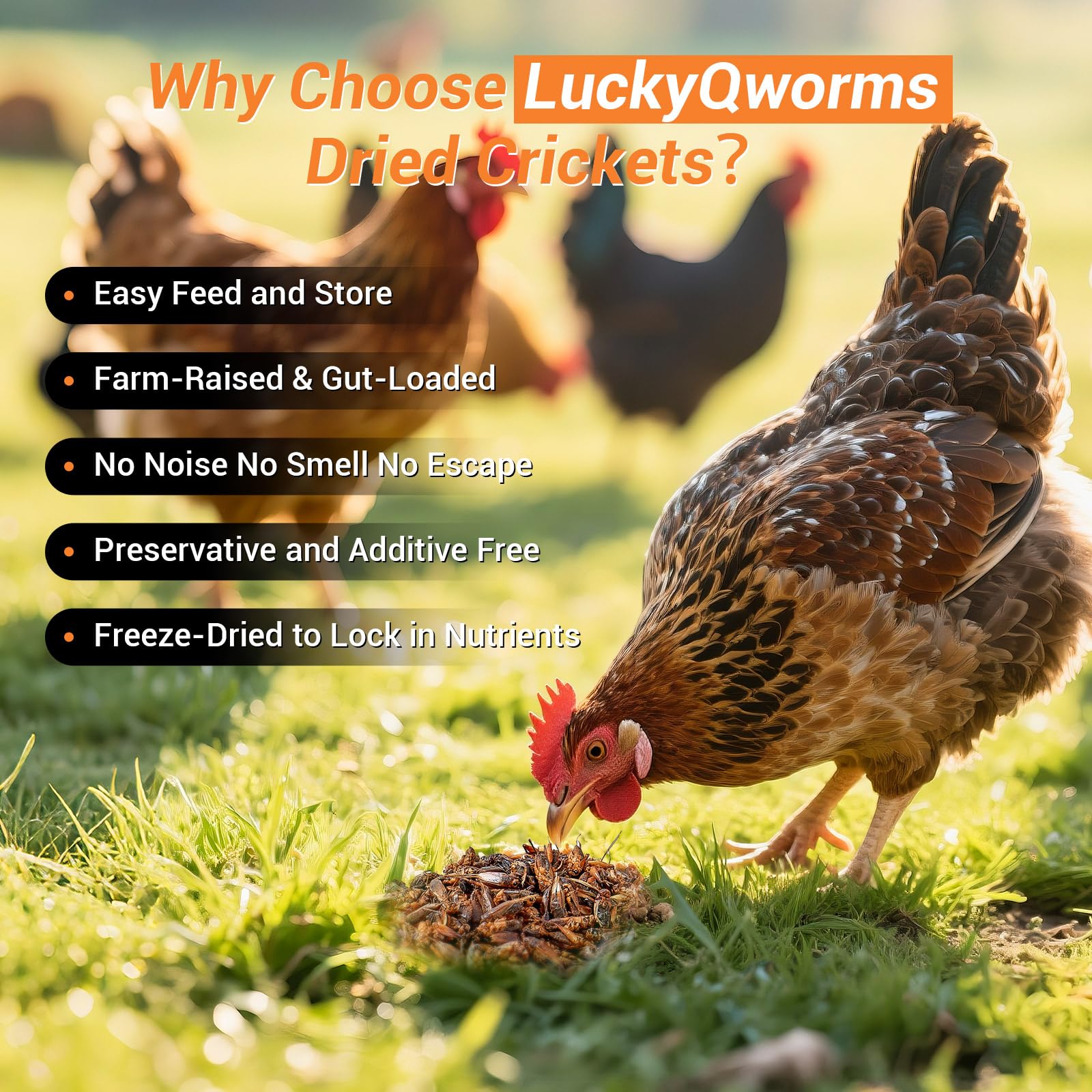 LuckyQworms dried crickets bag-standup demonstrates easy pouring and storage