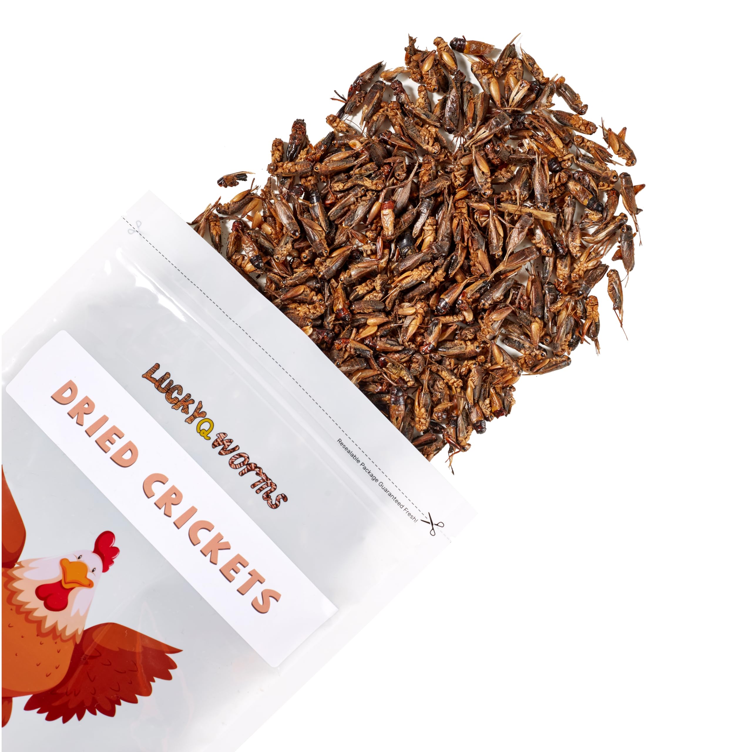 LuckyQworms dried crickets closeup highlights protein-rich nutrition for muscles