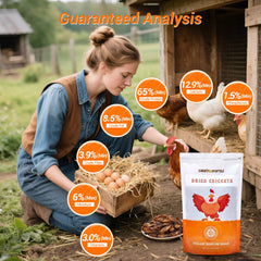 LuckyQworms dried crickets serving-dry shows ready-to-feed convenience for busy owners