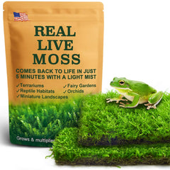 LUCKYRUNES live moss duo variants show two textures for natural terrarium floors